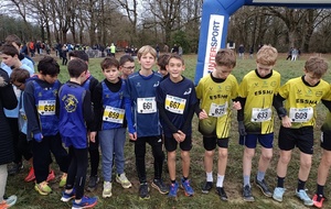 Championnats départementaux de cross 49